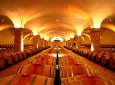 Стать виноделом в тосканском поместье Rosewood Castiglion del Bosco
